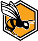 Team 33 Logo